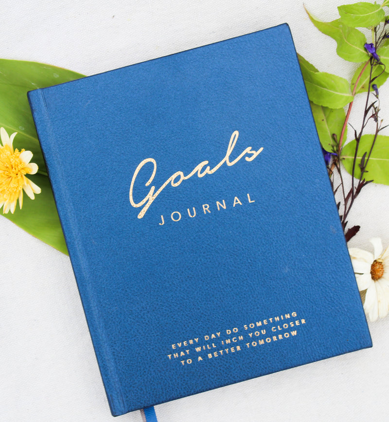 Journal- Goals